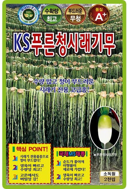 푸른청시래기무 씨앗(2천립) 시래기전용 무청 부드러운 청 수량많음, 1개