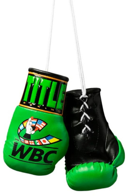 타이틀 미니 복싱글러브 / 권투 킥복싱 UFC MMA 키링, 5인치 WBC 그린, 1개