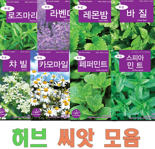 허브 씨앗 모음 17종 로즈마리 라벤다 레몬밤 바질 카모마일 페퍼민트 스피아멘트 에키네시아, 3.레몬밤, 1개