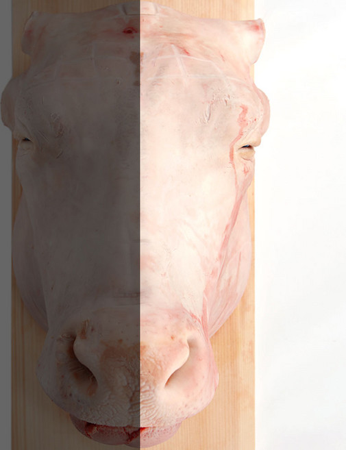 한우거세 소머리 통머리 반마리, 단품