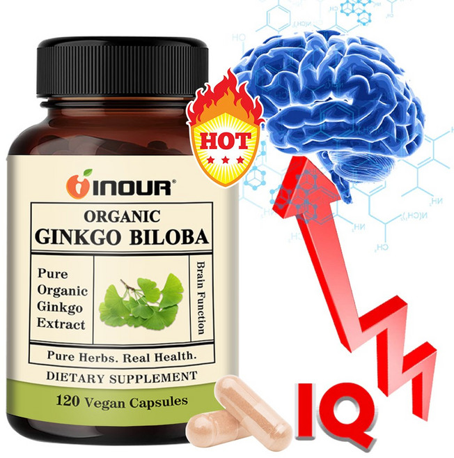 유기농 은행잎 추출물 GINKGO BILOBA 고함량 뇌건강 기억력 혈액순환 개선 120캡슐, 3개, 120정