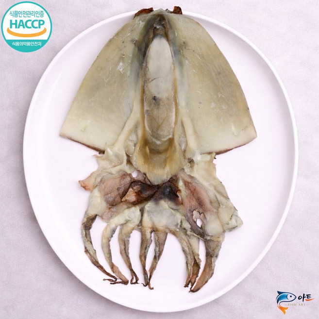 (유)피쉬아트 군산 반건조 갑오징어, 1개, 5마리(세로25~26cm, 가로35~37cm)