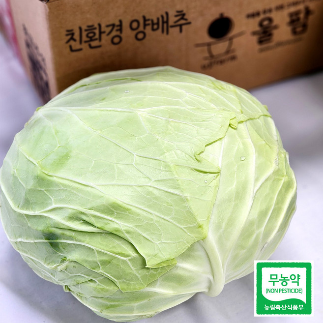 울팜 아삭 달달 국내산 친환경 양배추 제주 무안 밀양, 1kg, 1박스