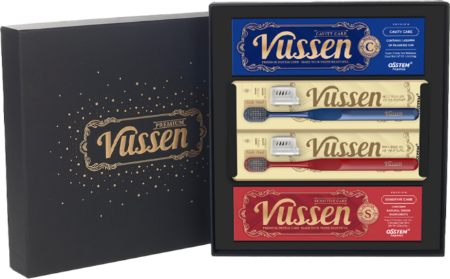 오스템 뷰센 치약 칫솔 2&2 선물 세트 (치약 C S 각1개 칫솔 흑색 적색 각1개 케이스 쇼핑백), 1세트, 120ml