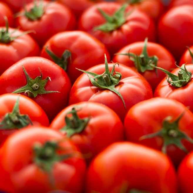 특품종 만족도1위 파격초특가 빨간 완숙토마토, 1개, 대과 5kg(특상품)