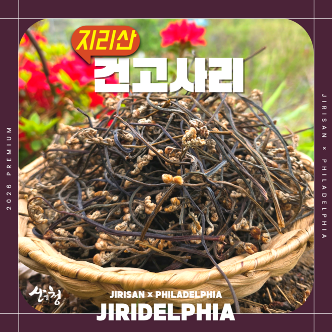 [지리산 산청] 고지대 26년도 자연산 최상급 햇 건고사리 - 3대째 이어온 손맛 전통 가마솥 방식 800m 이상 고지대에서 채취한 진짜 자연산 직접 꺾고 불에 삶은 정성 그대로, 300g, 1개