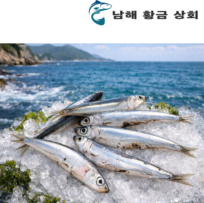 남해 생멸치 조림용 26년 햇멸치 손질 급속 냉동 멸치 500g+500g, 2개