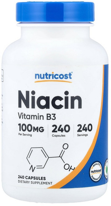 뉴트리코스트 니아신 (비타민B3) 100mg 240캡슐, 240회분, 1개