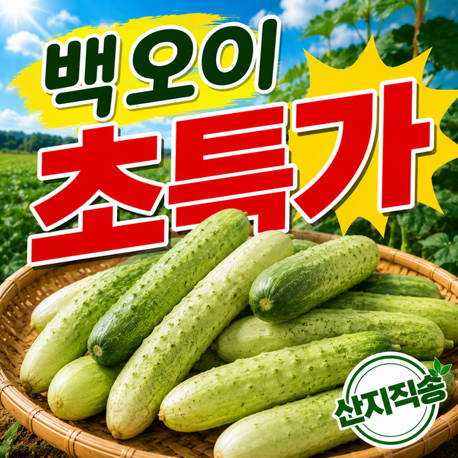[최저가도전] 주문폭주 산지직송 백다다기 백오이, 1박스, 5kg
