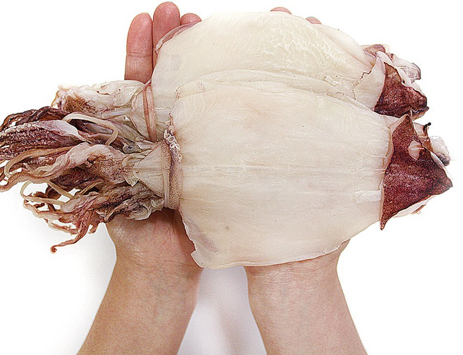 서호건어물 통영 서호시장 반건조 한치 중 5미, 1개