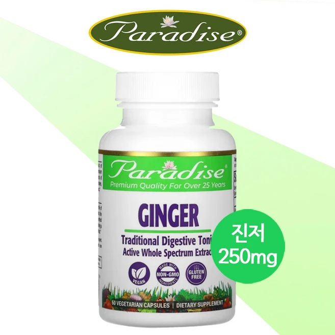파라다이스 허브 징거 생강 60 식물성 캡슐 Ginger 뿌리 줄기 추출물 효능, 1개, 기본, 60정 - 쿠팡