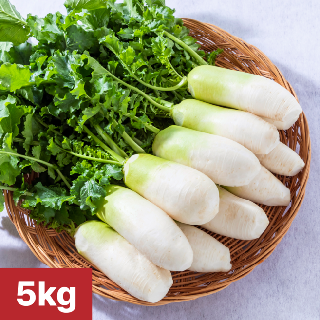 [여수 청년농부] 당일제조 국내산 여수 알타리무, 1개, 5kg