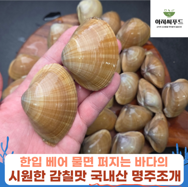 8위 - [시원한감칠맛] 국내산 명주조개 생물 제철 조개 구이탕 칼국수 술찜 갈미조개 해물탕 싱싱한 쫄깃한, 1개, 