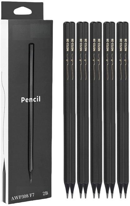 skansol 프리미엄 블랙우드 연필 2B, 10개입