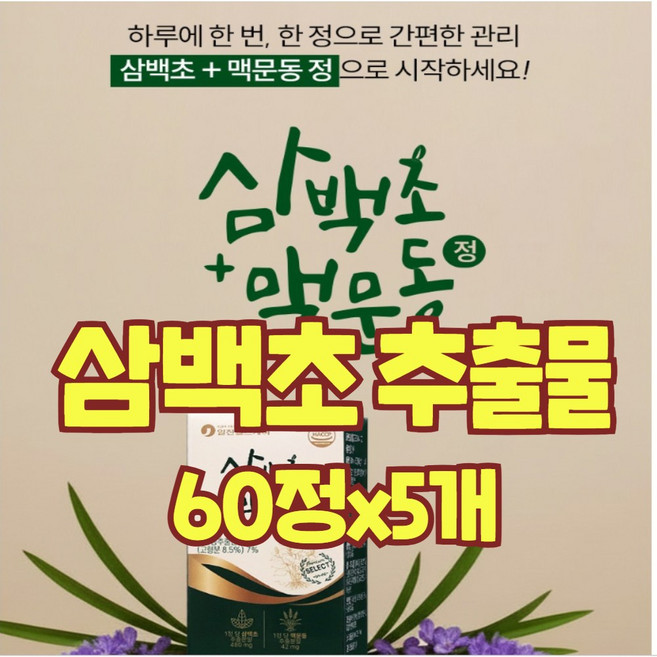 삼백초 추출물 맥문동 추출물 배 모과 도라지 국산 가루 분말 차 환 미겔리아닌 퀘르세틴 효능 식약처 인증 해썹, 5개, 60회분