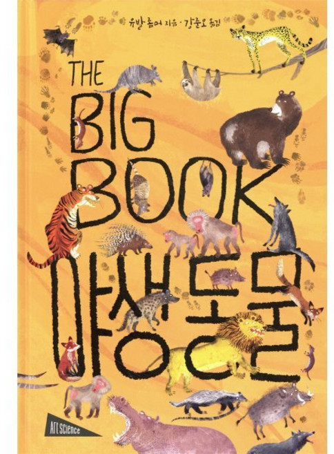 THE BIG BOOK 야생 동물, 보림, THE BIG BOOK 더 빅북