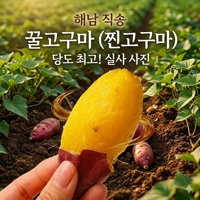[프리미엄]꿀당도 세척 해남꿀고구마 아이간식 다이어트해결, 1개, 한입 2kg