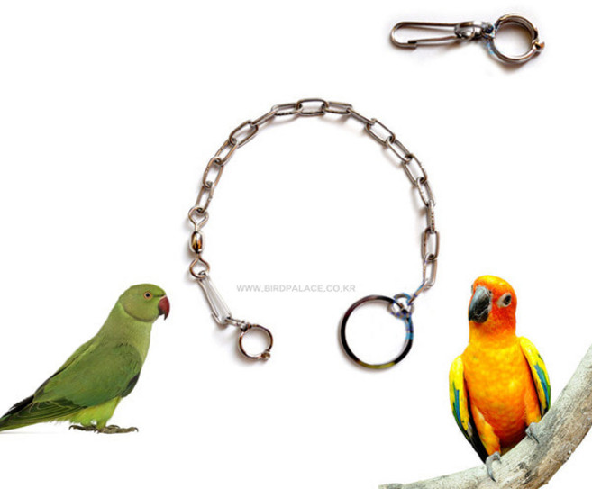 줄이 달린 앵무새 발목림 금도금 앵무새 외출 산책 미아조 방지, #9, 1개