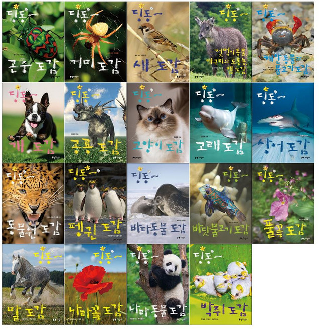 [지성사/문상오천+12색색연필]딩동~ 도감시리즈 19권세트(전19권)