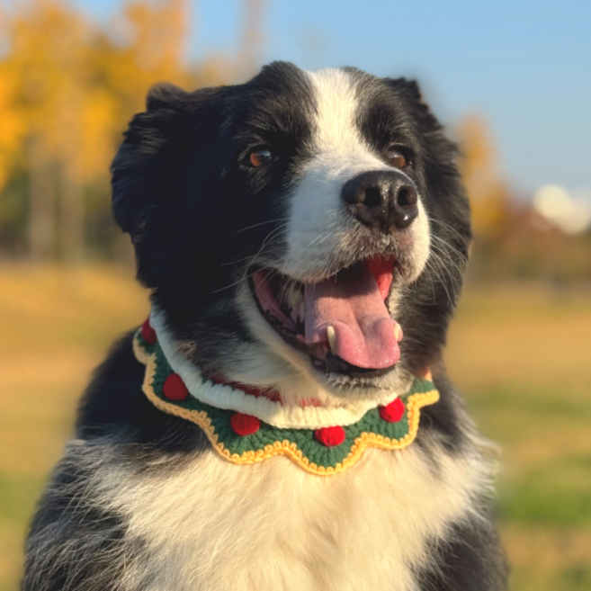 큐앤캐롯 강아지 크리스마스 케이프 대형견 스카프 니트, 1개, 그린
