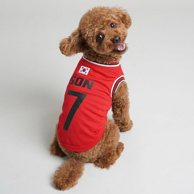말랑마쥬 반려동물 강아지 고양이 국가대표 리그 축구 유니폼, 코리아 레드, 1개