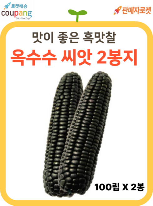 씨드림몰 옥수수 종자 흑맛찰 흑찰 씨앗 텃밭 100립, 2개