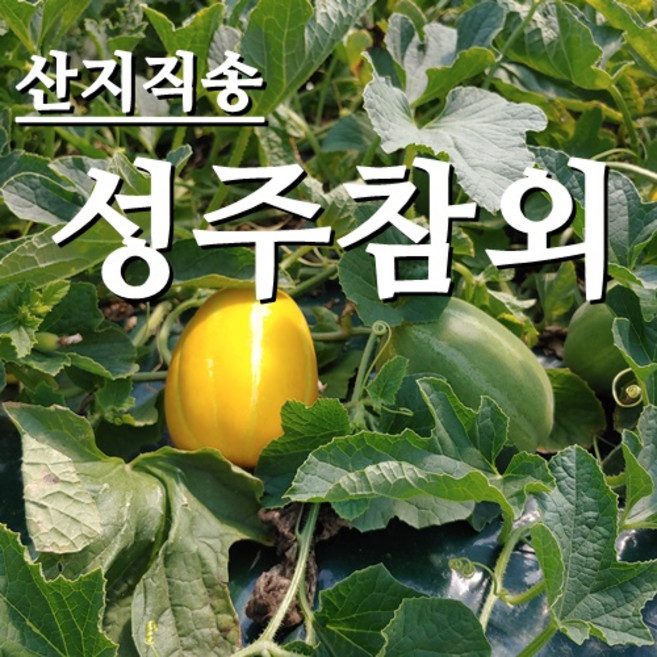 BB [농부네 부부농장] 싱싱한 성주참외 10kg 비품상품, 1박스, 03.참외 정품 2.5kg 대과 (박스무게포함)