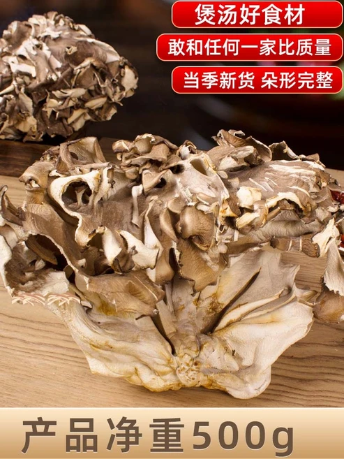 운남 잎새버섯 건조 500g, 1세트 - 쿠팡