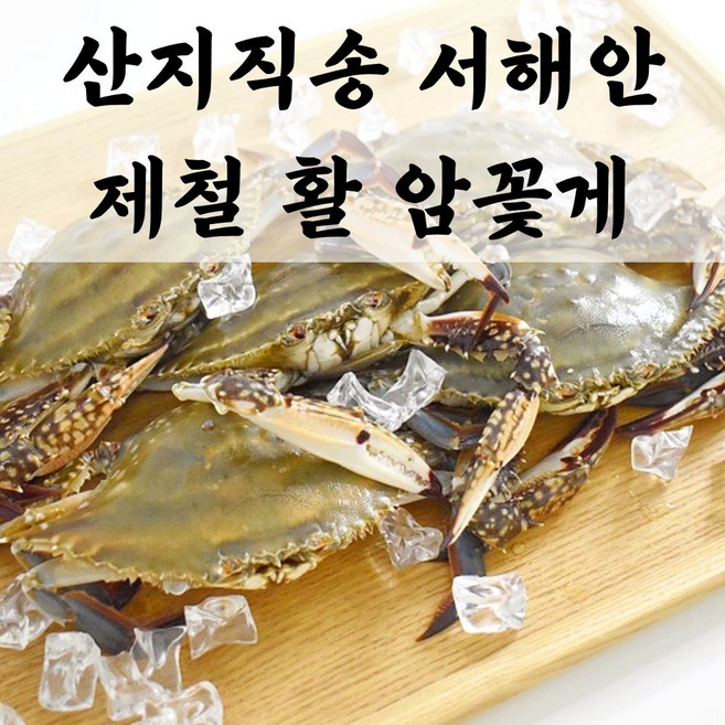 당일조업 당일배송 국내산 서해 활 꽃게, 활꽃게_1kg, 1개