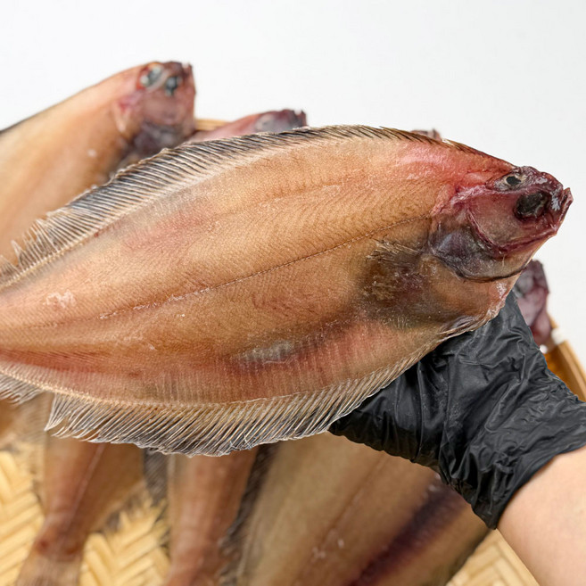 통수산 국내산 손질 제철 반건조 대왕 알가자미 알빠진가자미 기름가자미, 1개, 반건조기름가자미(대)1kg5-7미(개별포장)