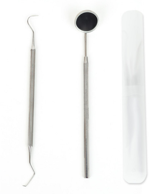 ALN 치석제거기+치경+보관케이스 3종, 1세트, 치석제거기(A타입+치경+케이스)