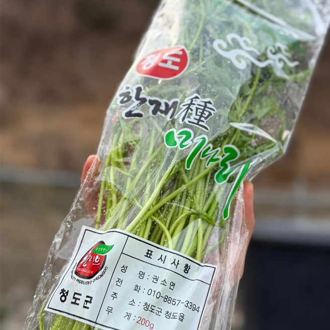 미나리 200g x 1봉