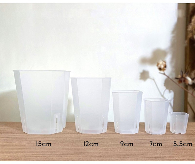 투명 롱슬릿 화분 삽목 분갈이 뿌리확인 어린이관찰화분 희귀식물 뿌리관찰 실내 학교 인테리어화분, 10개