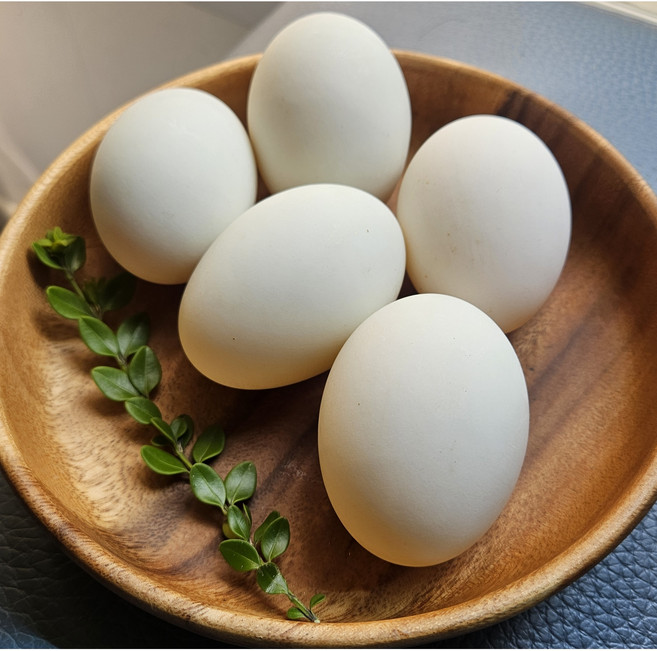 자연방사 국내산 오리알 왕란 30구, 80g, 30개