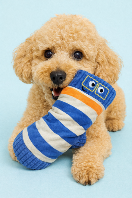 [푸들나무] 바스락 노즈워크 양말, 스트라이프 블루, 1개