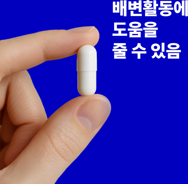 약국용 유산균 배변활동개선 완장제 배활제 장용성 프로바이오틱스 100억CFU, 4박스, 60정