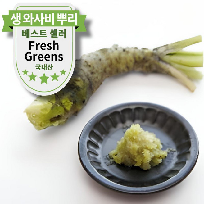 국내산 생 와사비 뿌리 고추냉이 뿌리 근경, 1개, 100g 일반