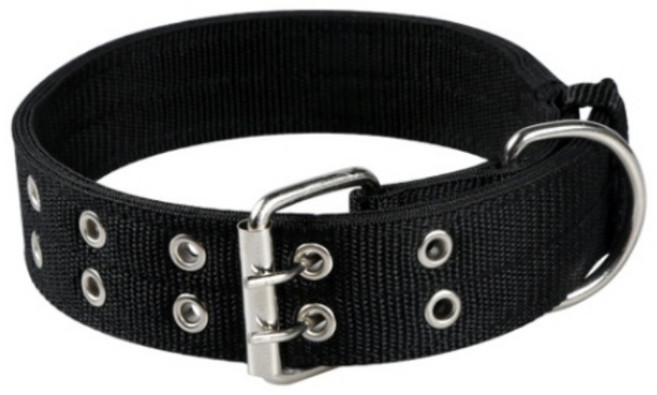 심바 중형견 베이직 목줄, 블랙, 1개