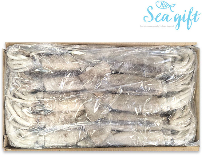 [씨기프트]오징어 베이트 3kg(9-11미 내외) 냉동 육동 생오징어 업소용, 1개