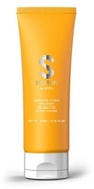 지니 에스솔루션 앱솔루트 클린 젤 튜브형, 200ml, 1개