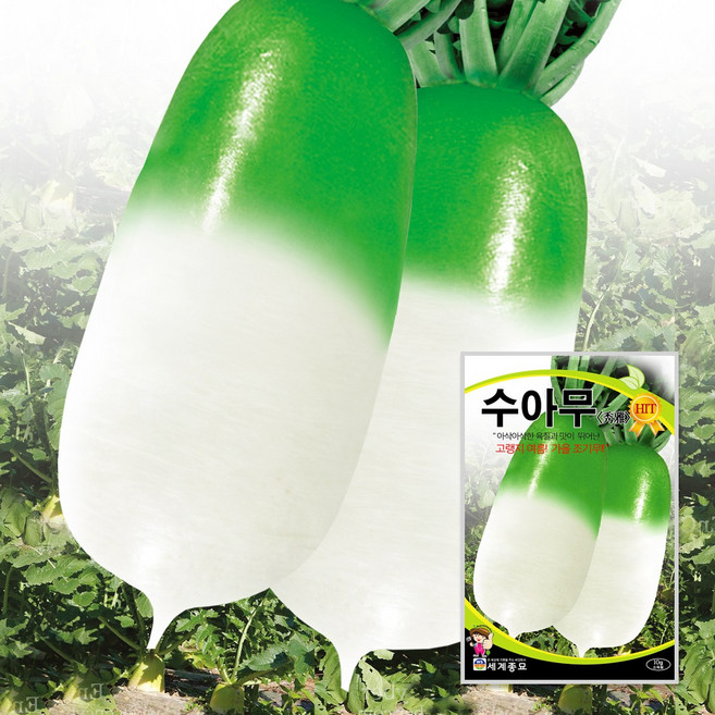 수아무 10g / 무우씨 무씨앗, 2개