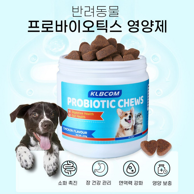 강아지 유산균 영양제 소화 변비 설사 구토구강 구취 장건강 면역력 프로바이오틱스 강아지 프로바이오틱스 유산균, 1개, 장건강/유산균, 95정