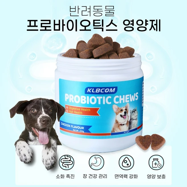 강아지 유산균 영양제 소화 변비 설사 구토구강 구취 장건강 면역력 프로바이오틱스 강아지 프로바이오틱스 유산균, 1개, 장건강/유산균, 95정 - 쿠팡
