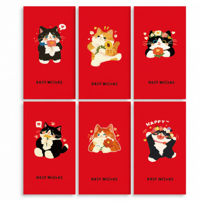 럭키리우 용돈봉투 세뱃돈봉투 6매 세트, 6개, 위시 캣