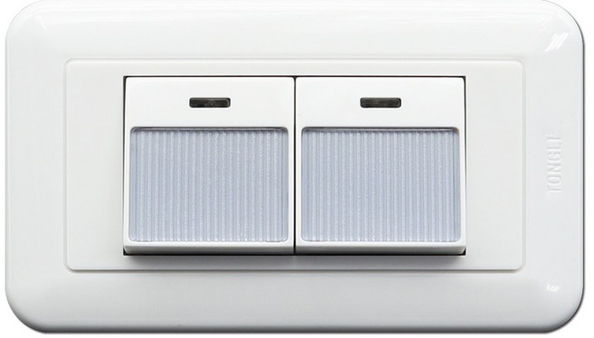 朝日電工 竹紋特大型夜光雙開關組 開關燈座【P-TL-2SS】, 1個