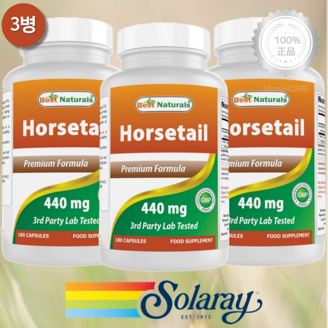 [3병] 베스트 내추럴스 대용량 호스테일 쇠뜨기 440mg 180캡슐 Horsetail, 3개, 180정