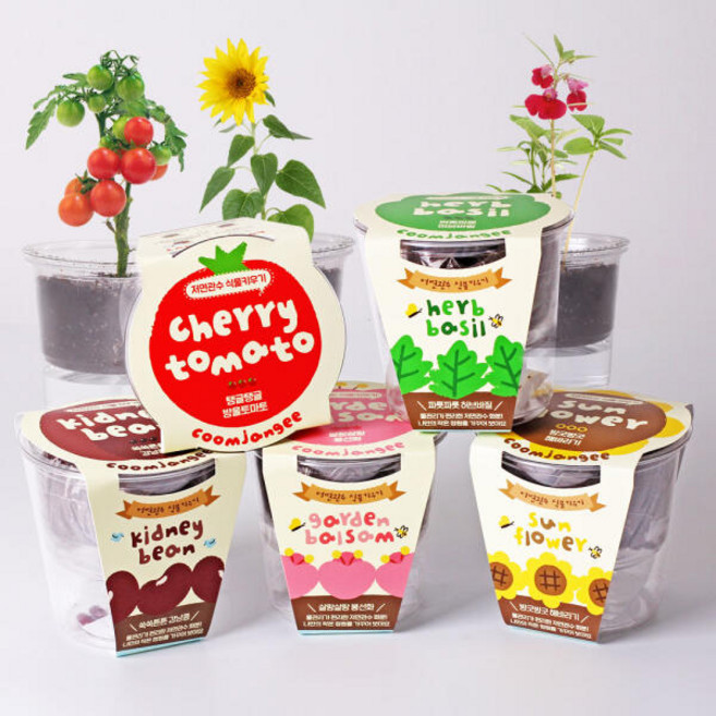 아트박스/꿈쟁이 꿈쟁이 저면관수 식물키우기(5종 택1), 쿠팡 갓블레스 허브바질_{축01)