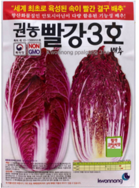 빨간배추씨앗 100립 빨강3호 안토시아닌다량함유 기능성배추종자, 1개