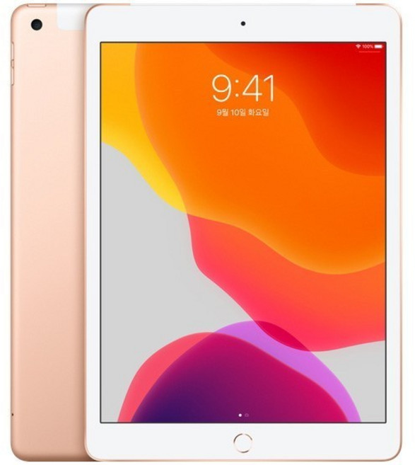 Apple iPad 7세대, 골드, 32GB, Wi-Fi