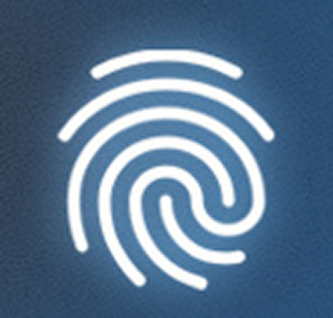 라멜리 강철합금강 스마트 가정용 금고, 블랙 350*260*250mm